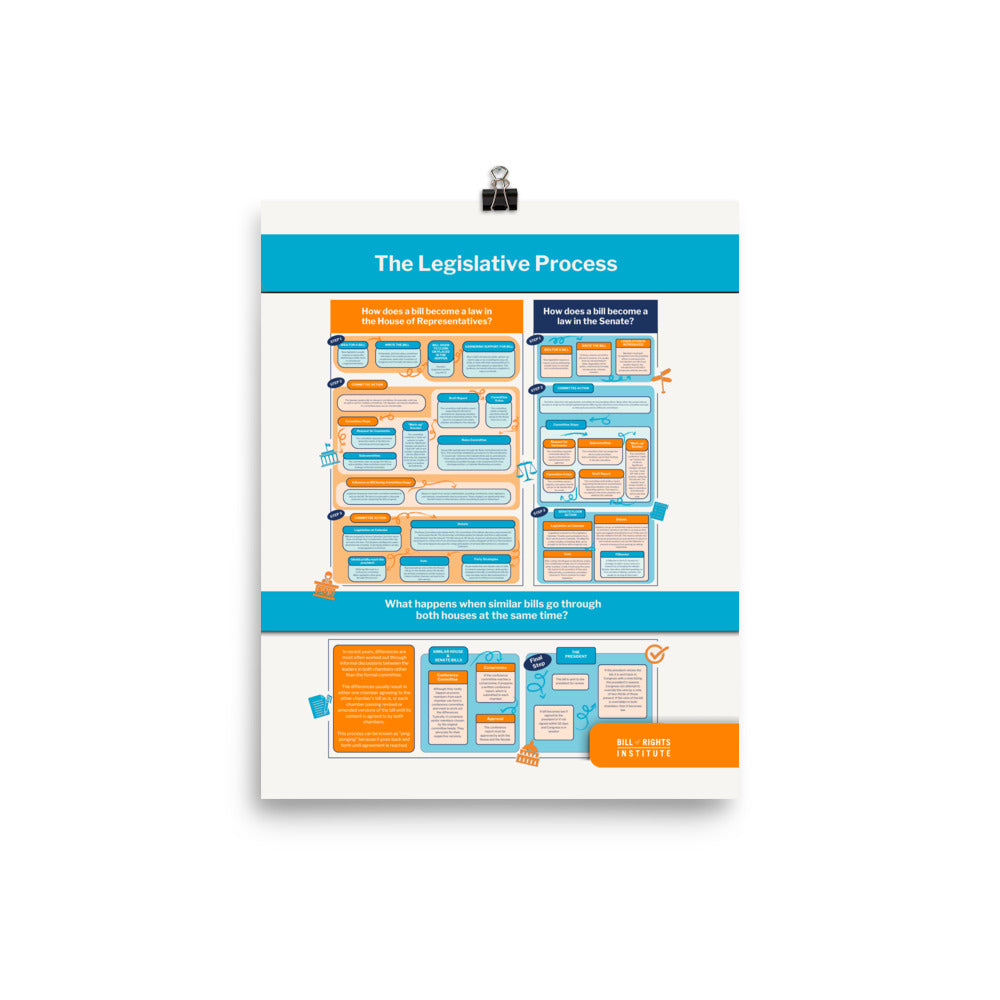 Legislative Process Poster, Government and Politics: Civics for the Am ...